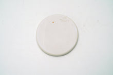 Load image into Gallery viewer, Sample 40 Mushroom Dish