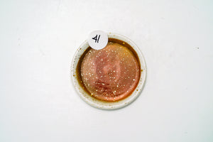 Sample 41 Watercolor Dish