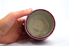 Load image into Gallery viewer, Eternal Mahal 4 Cup | 9oz