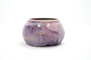 Fairy Lights 11 Medium Vase