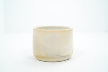 Load image into Gallery viewer, Ginkgo 5 Cup | 13oz