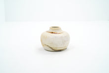 Load image into Gallery viewer, Ginkgo 8 Vase