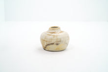 Load image into Gallery viewer, Ginkgo 8 Vase