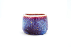 Mermaid Dreams 5 Cup | 11oz