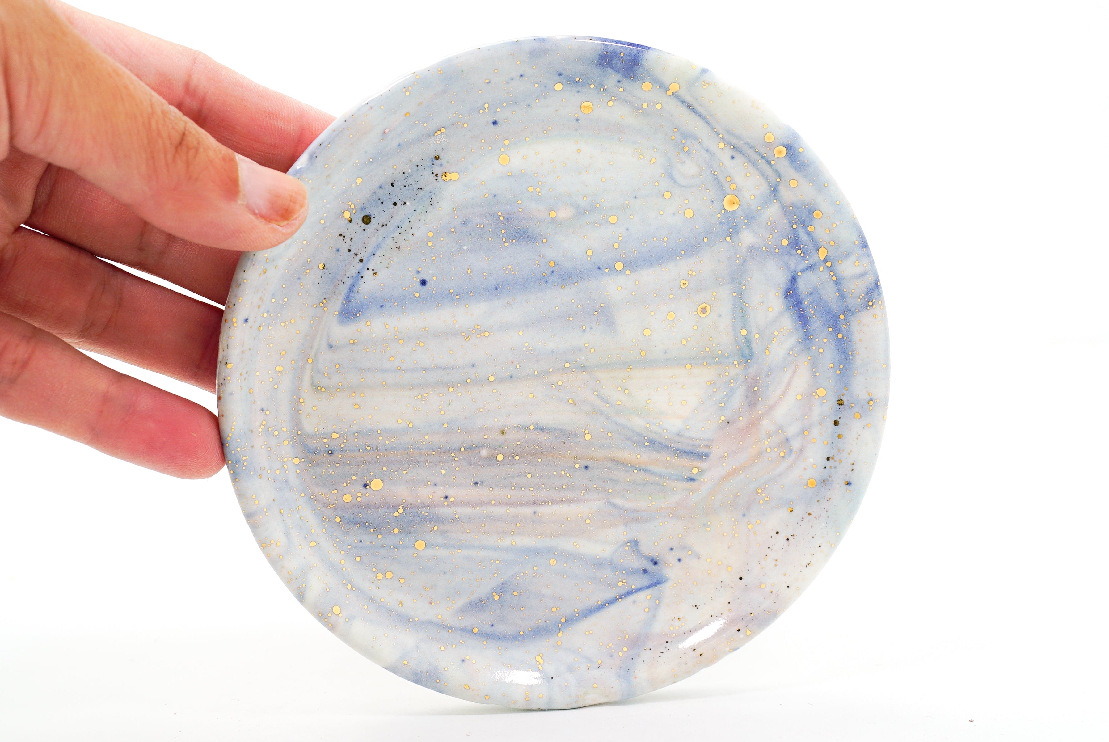 Sample 9 Dish