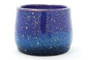Nightfall 10 Cup | 11oz