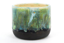 Load image into Gallery viewer, Mystic Moss 6 Cup | 12oz