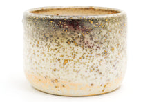 Load image into Gallery viewer, Mars Landing 1 Small Cup | 8oz