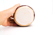 Load image into Gallery viewer, Mars Landing 9 Cup | 14oz