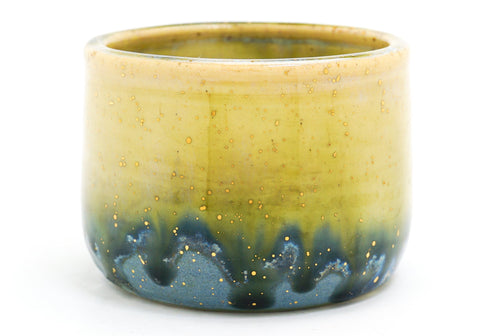 Sample 10 Small Cup | 7oz