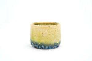 Sample 10 Small Cup | 7oz