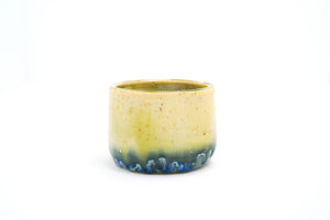Sample 10 Small Cup | 7oz