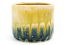 Load image into Gallery viewer, Sample 11 Cup | 13oz