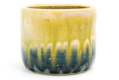 Sample 11 Cup | 13oz