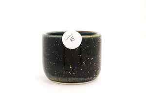 Sample 16 Cup | 10oz