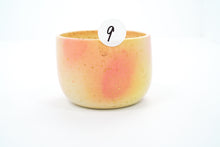 Load image into Gallery viewer, Sample 9 Cup | 12oz