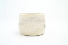 Load image into Gallery viewer, Sample 26 Ginkgo Cup | 13oz