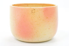 Load image into Gallery viewer, Sample 9 Cup | 12oz