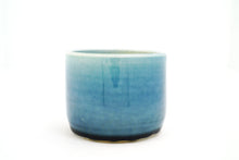 Load image into Gallery viewer, Sample 34 Mushroom Cup | 13oz