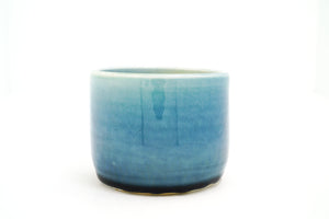 Sample 34 Mushroom Cup | 13oz