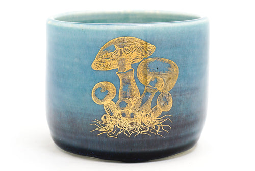 Sample 34 Mushroom Cup | 13oz