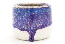 Load image into Gallery viewer, Sample Drip 4 Pot | 9oz *Seconds*
