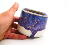 Load image into Gallery viewer, Sample Drip 4 Pot | 9oz *Seconds*