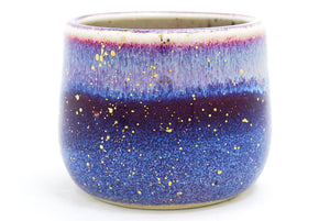 Nightfall Purple 1 Cup | 11oz