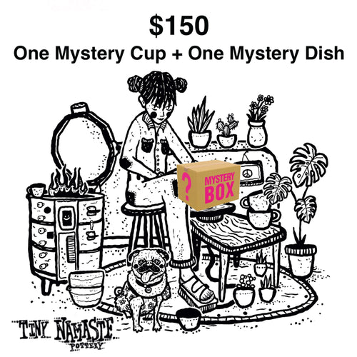 Mystery Box Cup + Dish